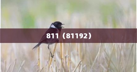 811（81192）