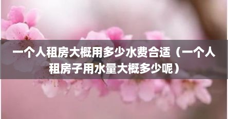 一个人租房大概用多少水费合适（一个人租房子用水量大概多少呢）
