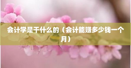 会计学是干什么的（会计能赚多少钱一个月）