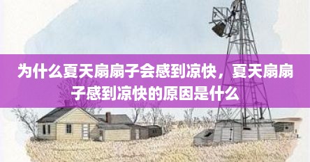 为什么夏天扇扇子会感到凉快,夏天扇扇子感到凉快的原因是什么