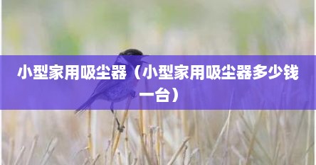 小型家用吸尘器（小型家用吸尘器多少钱一台）