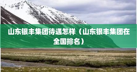 山东银丰集团待遇怎样（山东银丰集团在全国排名）