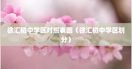 徐汇初中学区对照表图（徐汇初中学区划分）