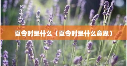 夏令时是什么（夏令时是什么意思）