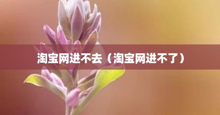 淘宝网进不去（淘宝网进不了）