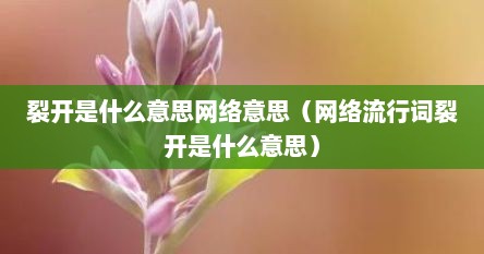 裂开是什么意思网络意思（网络流行词裂开是什么意思）