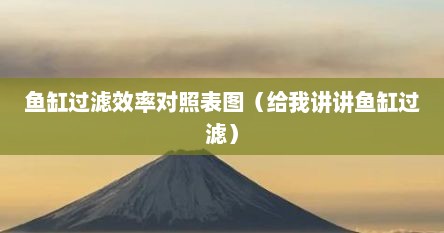 鱼缸过滤效率对照表图（给我讲讲鱼缸过滤）