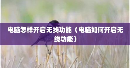 电脑怎样开启无线功能（电脑如何开启无线功能）