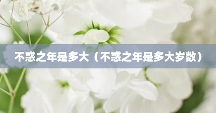 不惑之年是多大（不惑之年是多大岁数）