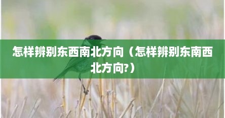 怎样辨别东西南北方向（怎样辨别东南西北方向?）