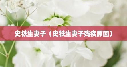 史铁生妻子（史铁生妻子残疾原因）