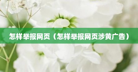 如何举报黄广告宣传单（怎么举报官方的广告）