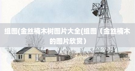 金丝楠木树高清图片（金丝楠木图片大全真实照片）