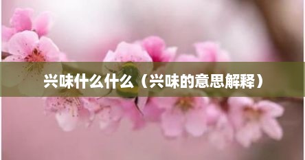 兴味什么什么（兴味的意思解释）