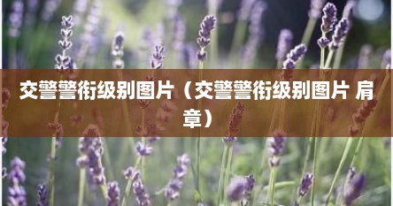 交警警衔级别图片（交警警衔级别图片 肩章）