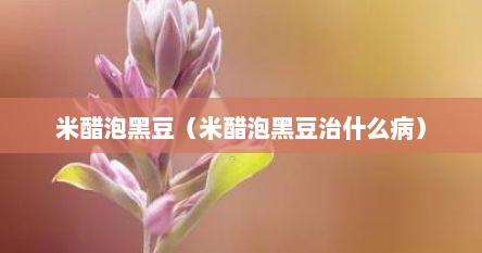 米醋泡黑豆（米醋泡黑豆治什么病）