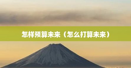 怎样预算未来（怎么打算未来）