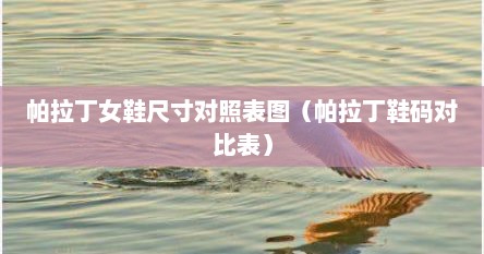 帕拉丁女鞋尺寸对照表图（帕拉丁鞋码对比表）