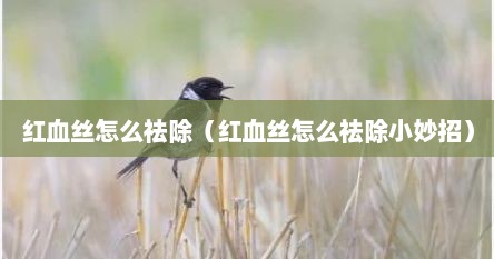 红血丝怎么祛除（红血丝怎么祛除小妙招）