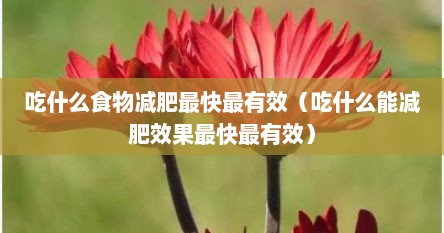 吃什么食物减肥最快最有效（吃什么能减肥效果最快最有效）
