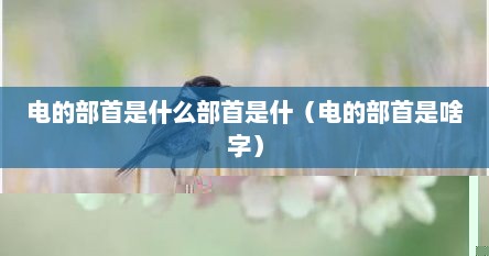 电的部首是什么部首是什（电的部首是啥字）