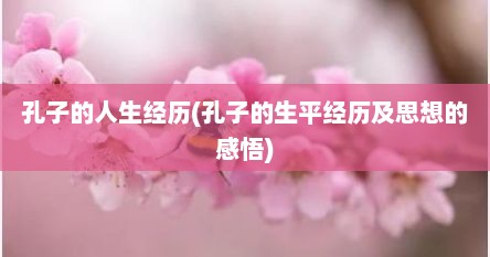 孔子的人生经历(孔子的生平经历及思想的感悟)