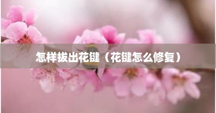 怎样拔出花键（花键怎么修复）