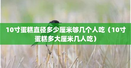 10寸蛋糕直径多少厘米够几个人吃（10寸蛋糕多大厘米几人吃）