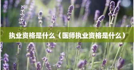 执业资格是什么（医师执业资格是什么）