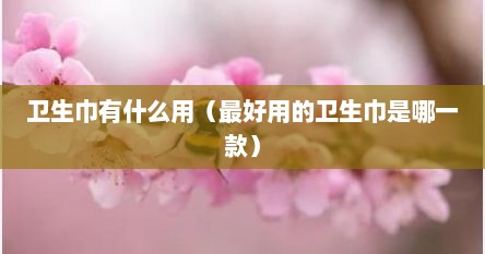 卫生巾有什么用（最好用的卫生巾是哪一款）