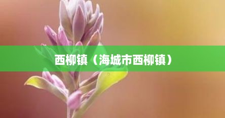 西柳镇（海城市西柳镇）