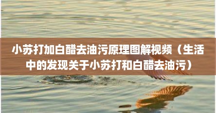 小苏打加醋去油污妙用（小苏打与白醋去油渍）