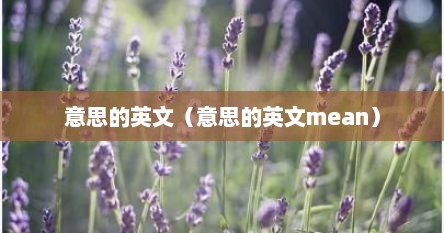 意思的英文（意思的英文mean）