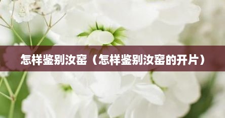 怎样鉴别汝窑（怎样鉴别汝窑的开片）