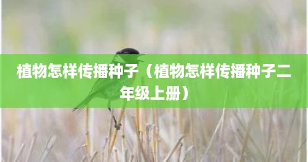 植物怎样传播种子（植物怎样传播种子二年级上册）