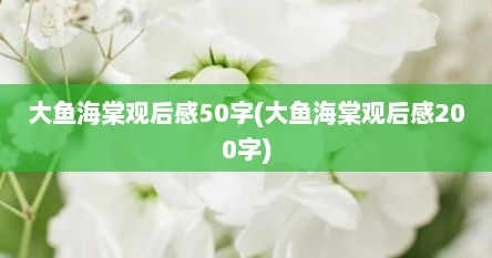 大鱼海棠观后感50字(大鱼海棠观后感200字)