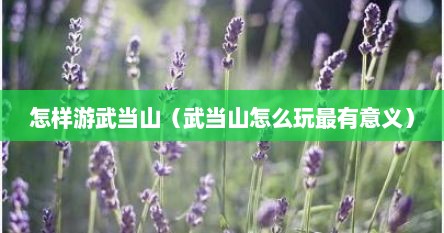 怎样游武当山（武当山怎么玩最有意义）