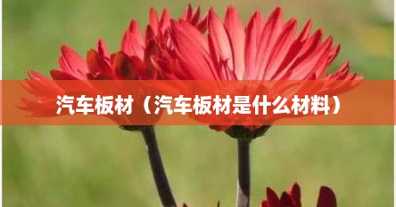 汽车板材（汽车板材是什么材料）