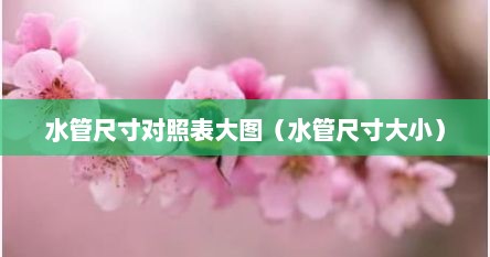水管尺寸对照表大图（水管尺寸大小）