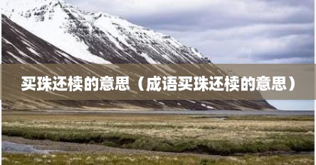 买珠还椟的意思（成语买珠还椟的意思）