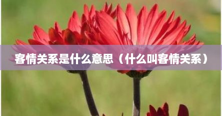 客情关系是什么意思（什么叫客情关系）