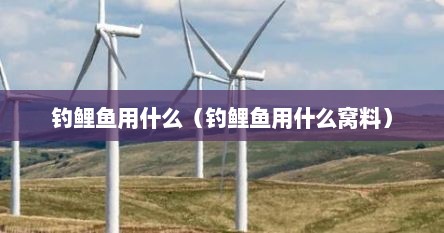 钓鲤鱼用什么（钓鲤鱼用什么窝料）