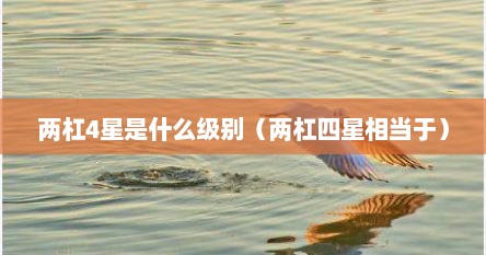 两杠4星是什么级别（两杠四星相当于）