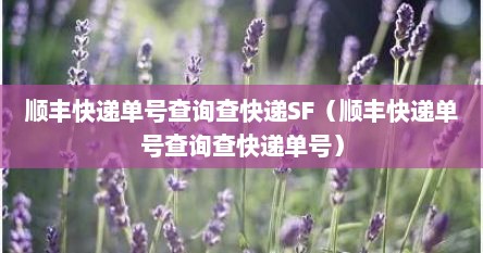 顺丰快递单号查询查快递SF（顺丰快递单号查询查快递单号）