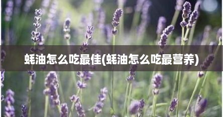 蚝油怎么吃最佳(蚝油怎么吃最营养)