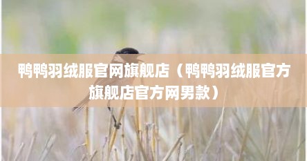 鸭鸭羽绒服官网旗舰店（鸭鸭羽绒服官方旗舰店官方网男款）
