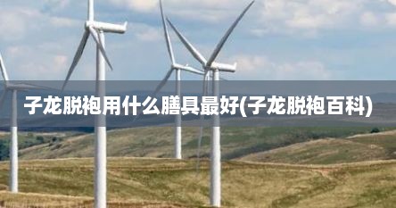 子龙脱袍用什么膳具最好(子龙脱袍百科)
