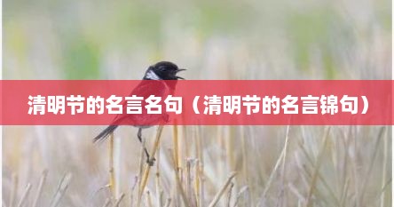 清明节的名言名句（清明节的名言锦句）