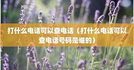 打什么电话可以查电话（打什么电话可以查电话号码是谁的）