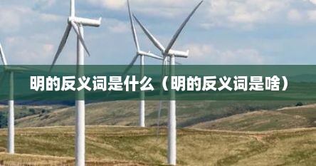 明的反义词是什么（明的反义词是啥）